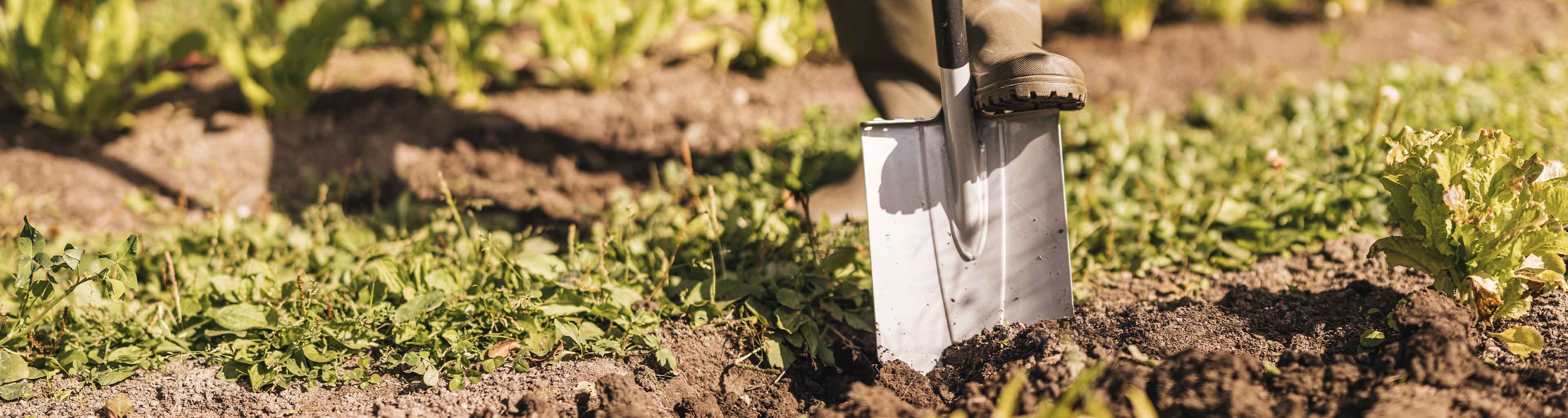 Лопаты для копа